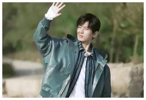 成毅爆料最新消息视频播放,揭秘幕后故事与精彩瞬间